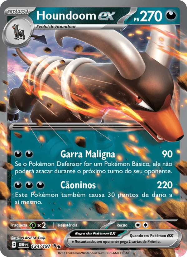 Carta Houndoom ex
