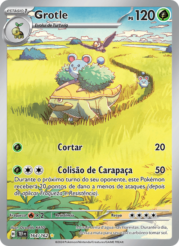 Carta Grotle