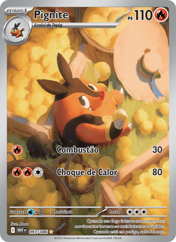Carta Pignite